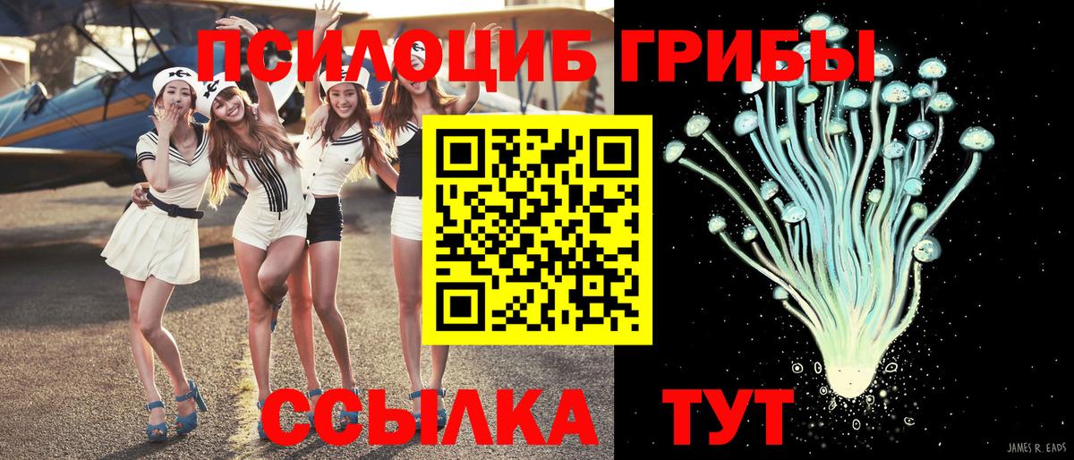 Галлюциногенные грибы прущие грибы  Галлюциногенные грибы Magic Shrooms  Королёв  Вход с VPN 